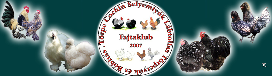 Trpe Cochin-Selyemtyk- Lbtollas Trpetyk s Bbits Fajtaklub